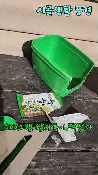 빗물모음 #빗물받이 #텃밭 #처마빗물