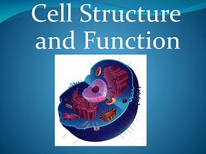 Cell Structure and Function - SlideServe