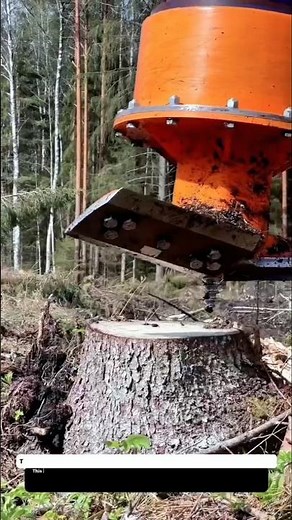 Tree Stump Grinder in Action – Powerful Forestry Machinery Technology Explained.