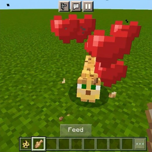 how to tame Ocelot in Minecraft|| #lokicraft #minecraft #short #gaming