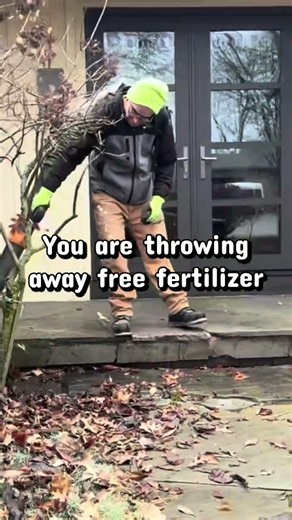 Stop Bagging Your Leaves — You Are Throwing Away Free Fertilizer