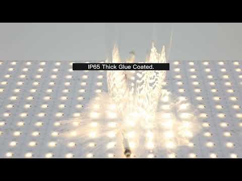 High Efficiency Flexible LED Sheet：Single LED Cut