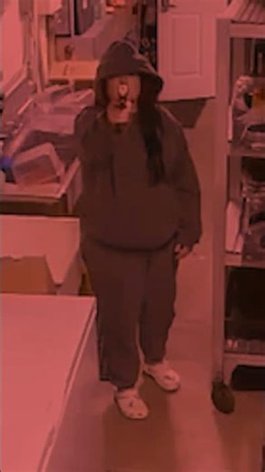 The Worst Robbery Attempt Ever