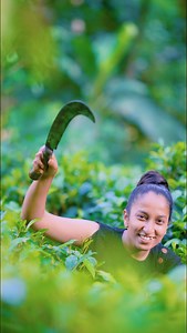 1.6M views · 25K reactions | Making Ceylon Cinnamon stick at home ☀️ කුරුදු තලන්න දන්නවද? | The Rustic Kitchen & Tranquil Village | Facebook
