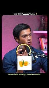 भारत में कौन-सा Avocado सबसे अच्छा होता है? avocado varieties in india, best avocado variety for india, indian avocado farming, avocado cultivation india, profitable avocado variety, hass avocado india, avocado types india, tropical avocado varieties, indian climate avocado varieties, avocado farming guide india, avocado plantation india, commercial avocado farming india, high-yield avocado varieties, best rootstock for avocado india, avocado orchard india, avocado business india #AvocadoIndia #