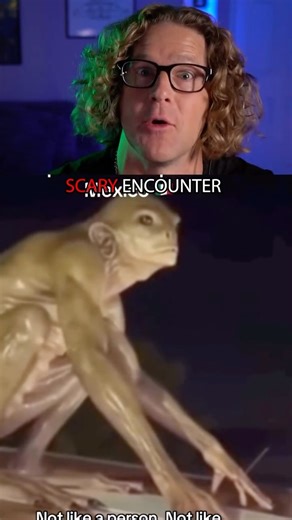 Haunted 5 on Instagram: "FROGMAN Captured on camera!? 🐸 #scary #spooky #ghost #paranormal #frogman"