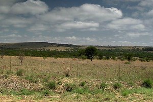 Mokopane - Alchetron, The Free Social Encyclopedia