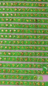 GB022 - Glitter Bomb Diamond Art Drills - Etsy UK