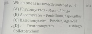 Which one is incorrectly matched pair?(A) Phycomycetes - Mucor... | Filo