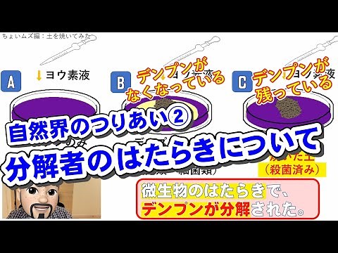 【中学 理科 ３年 生物】［自然界のつりあい］②-「分解者のはたらき」について-