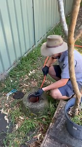 🌳 Tree roots love your pipes… but your drains don’t. When we’re called out to an overflowing drain, nine times out of ten it’s established tree roots breaking into the line and causing blockages. At Green Planet Plumbing, we don’t just clear the blockage — we identify the source, assess pipe damage, and put a long-term solution in place (hello, pipe relining ✔️). Next steps: 1️⃣ Diagnose the blockage 2️⃣ Remove root intrusions 3️⃣ Inspect with CCTV 4️⃣ Recommend repair or full pipe reline 5️⃣ P