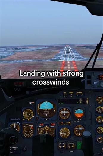 Almost at the limit fr #fyp #planes #xplane #landing #pilot