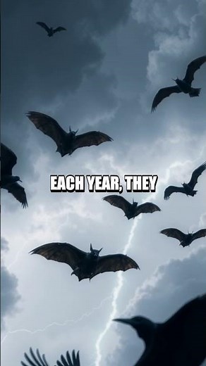 The Enigmatic Migration of the Painted Bat