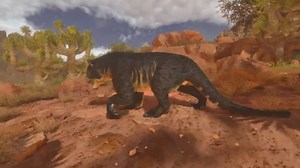 New Thyla Taming Trap (No Argy Needed)