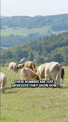 Ukraine’s 2025 Harvest SHOCKS Europe | #1 in Corn & Sunflowers Despite War