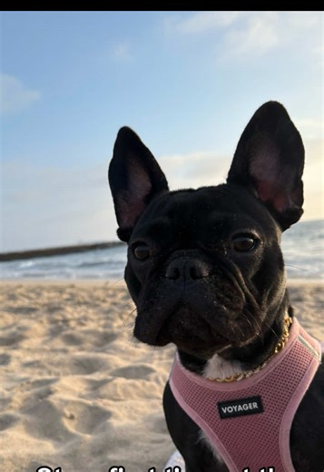 Kids Enjoy Their First Day at the Beach