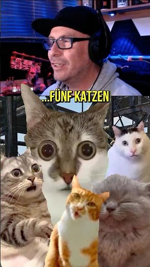 Fallout 76 😍 Fünf Katzen im Camp! Camp Location #tippsundtricks #livestream #cat #pets
