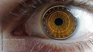 Eye Scanner Iris Access Granted Biometric Recognition Brown Caucasian