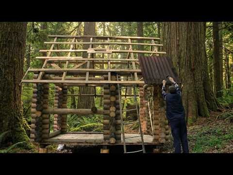 Guide to building a log cabin in the forest | The complete process