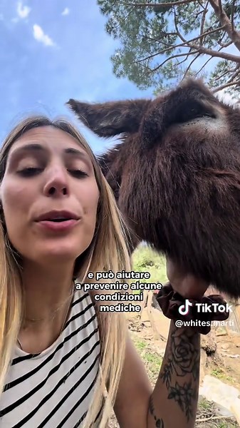 Sale rosso: il segreto per asini e pecore felici