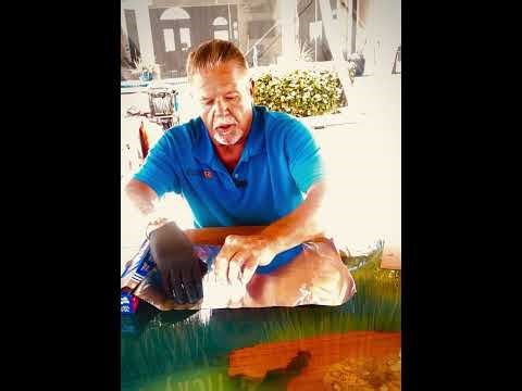 SHARKHIDE ADHESION VIDEO