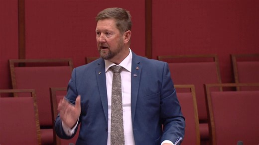 217K views · 11K reactions | I cannot believe that the Labor Party...