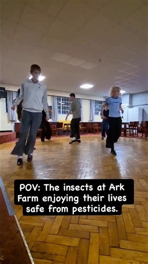 2.7K views · 43 reactions | It’s just anecdotal, but the diversity of insects, and other wildlife, seems to have risen over the past few years. Secondarily, the level of pest damage has fallen also. I wish I could prove this was something I had done, but I can’t, so we’ll leave it as a fun anecdotal observation. In my head…they’re all very happy about it! | Sunshine and Green | Facebook