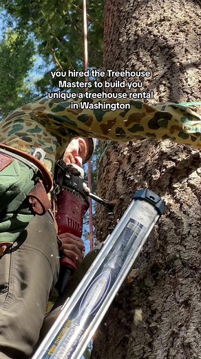 would you stay in this treehouse? #treehouse #treehousemasters #treehousebuilding #building #treehouselife #treehouserental #carpentry