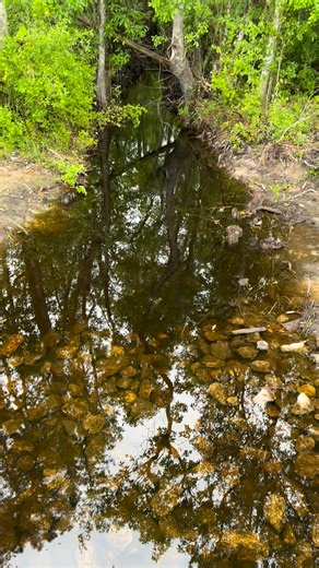 1.1K views · 20 reactions | Always one somewhere! | SizeMatters Fishing | Facebook