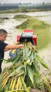 1.4M views · 10K reactions | Check out this New machine for cutting fodder for animals. #technology | Asare Obed | Facebook