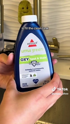 Deep Cleaning Your Couch with BISSELL's Little Green Mini