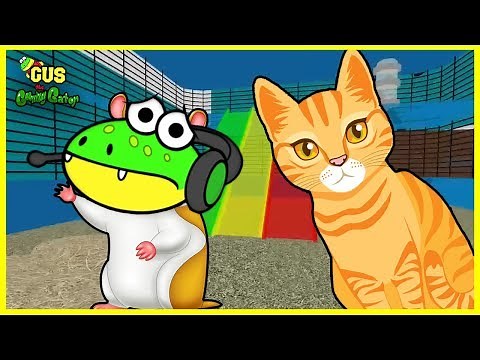 Roblox Let's Play Hamster Sim Water Park + Adopt a Baby