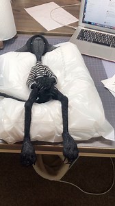 Crow is ready for shading with oil paints. (He looks very tall from this angle) Crow has all the bits a tomcat should have #darkalleydolls #veronikalozovaya #darkalleycat #artistbear #teddycat 😼😼😼 | Dark Alley Dolls