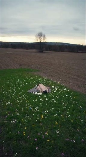 Unmasking the TRUTH: The Girl's Journey to Blossoming 🌸✨!