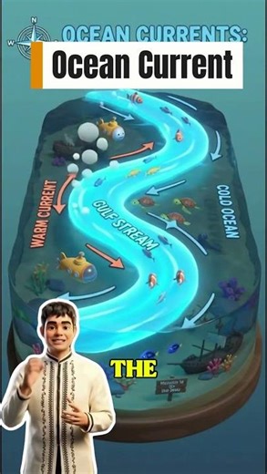 Factors Affecting the Climate of an Area: Ocean Current #EducationalVideo #OceanCurrents #climate