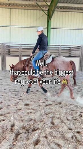 Ciara on Instagram: "Life’s too short to not ride horses while you can😉✨ - #equestrian #horsememes #cowhorses #equestrianmemes #fyp"