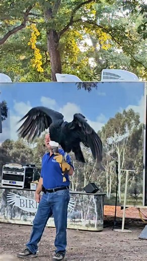 1.6K views · 240 reactions | ‍⬛ It was 2025 when I learned about The...