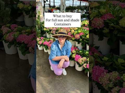 Sun or Shade? My Favorite Container Garden Plants for Both