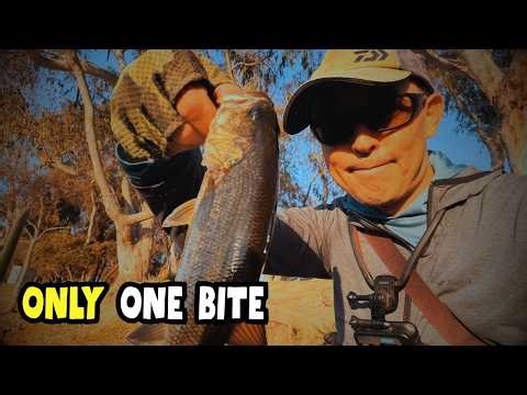 JDM Finesse: Tiny Drop Shot Still Catches Bass