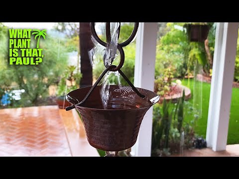 My RAIN CHAIN's Make Wet Days a lot more ENJOYABLE / What are they? and Should You Get One?