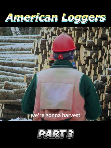Exploring Logging Life: Heavy Machinery in Action