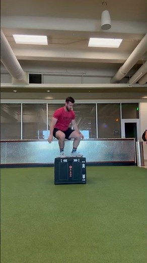 Burpee Box Jump Over (step down)
