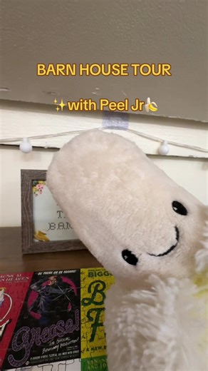 Exciting Barn House Tour Every Wednesday!