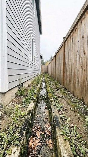 Side Yard Drainage to Clean Rock Garden Transformation.#beforeandafter