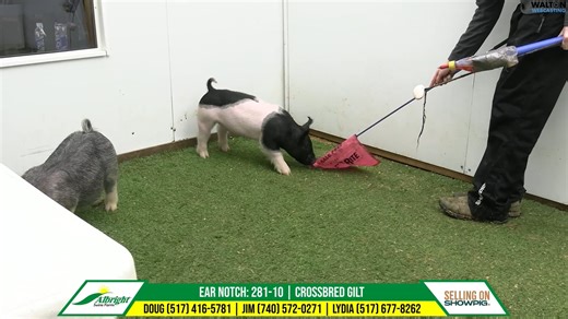 281-10 Albright Feb 22