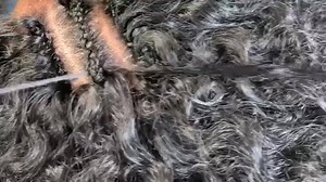 Hair used: Nubian Curls Natural Black (1B) Link : https://trendytresses.shop/Beau 4 PACKS Instagram : @trendytresses1 Facebook: https://m.facebook.com/trendytresses1/?locale2=en_GB Twitter: https://mobile.twitter.com/trendytresses1?lang=en Revitalizing Hair Moisturizer https://amalise.com/products/moroccan-mist-daily-hair-moisturizer-spray-8 HAITIAN CASTOR OIL https://amalise.com/products/haitian-black-castor-oil PARTING COMBS... https://wigsandbundles4less.com/beautycanbraid-parting-comb EDGE C