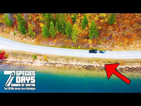 Fishing 7 Days, 7 Species, & 7 Bodies Of Water - 7 Day Challenge Official Movie