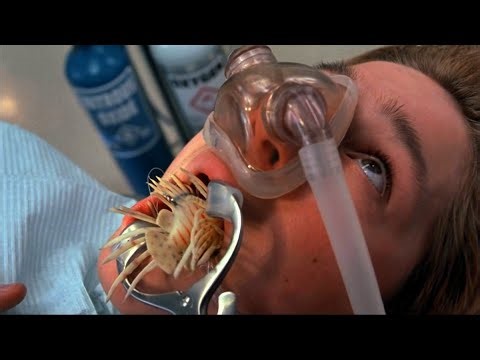 They thought they cheated death, BUT paid with their lives