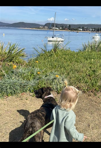 American Mom's Life in Australia: Dreams Realized