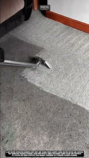 Deep cleaning carpet with hot water extractor efficient worktool carpetcleaner